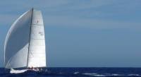 Christof Petter's Class 40, Vaquita
