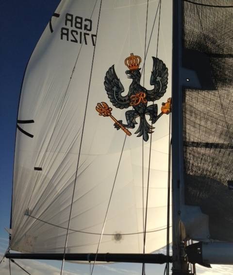 The cap badge of the KRH, the hawk, on Zarafa's spinnaker. Credit: Capt Henry Foster